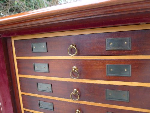 A SUPERB 'TYPE' SPECIMEN COLLECTORS CABINET IN MAHOGANY AND SATIN WOOD CIRCA 1870 - ADDITIONAL PHOTO 13