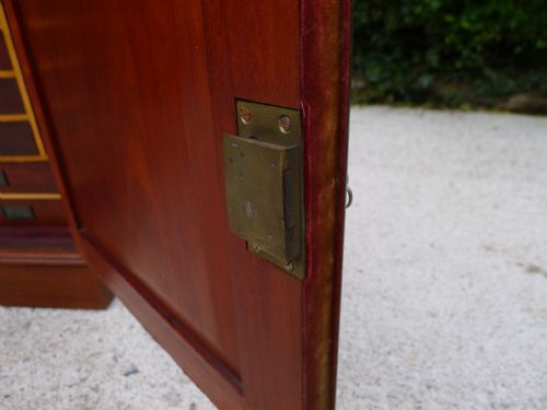 A SUPERB 'TYPE' SPECIMEN COLLECTORS CABINET IN MAHOGANY AND SATIN WOOD CIRCA 1870 - ADDITIONAL PHOTO 16