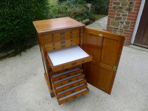 A Very Rare Thomas Gurney 15 Drawer Collectors Cabinet in Oak. Circa 1905. Art Nouveau.