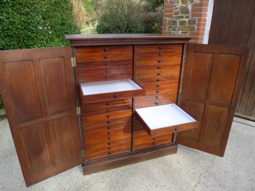 A Beautiful 36 Drawer Collectors Cabinet in Oak and Mahogany Circa 1880
