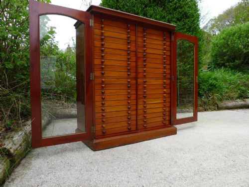 A Solid Mahogany 40 Drawer Collectors Cabinet of Spectacular Quality. Circa 1900