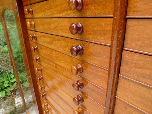 fig 2. A SOLID MAHOGANY 40 DRAWER COLLECTORS CABINET OF SPECTACULAR QUALITY. CIRCA 1900