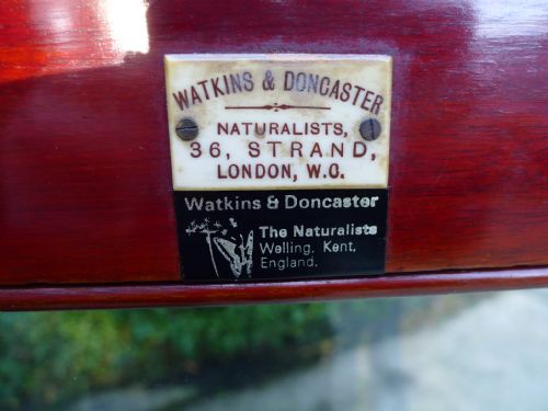 fig 2. A CLASSIC 20 DRAWER COLLECTORS CABINET BY MESSRS WATKINS & DONCASTER. CIRCA 1890