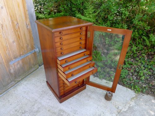 A W&d 16 Drawer Deal and Mahogany Collectors Cabinet. Circa 1890.