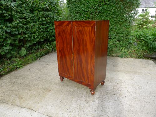 AN HISTORICALLY IMPORTANT 40 DRAWER MAHOGANY COLLECTORS CABINET PROPERTY OF THE LATE JCDALE 1791 1872 - ADDITIONAL PHOTO 1