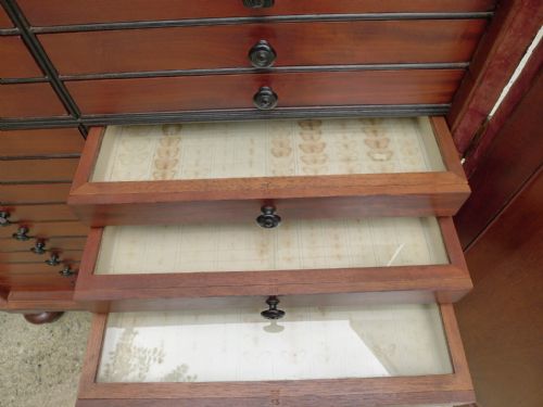 AN HISTORICALLY IMPORTANT 40 DRAWER MAHOGANY COLLECTORS CABINET PROPERTY OF THE LATE JCDALE 1791 1872 - ADDITIONAL PHOTO 13