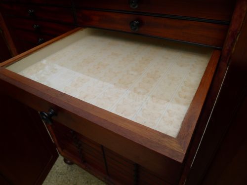 AN HISTORICALLY IMPORTANT 40 DRAWER MAHOGANY COLLECTORS CABINET PROPERTY OF THE LATE JCDALE 1791 1872 - ADDITIONAL PHOTO 15