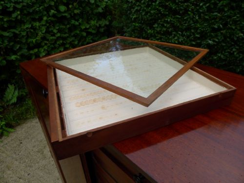 AN HISTORICALLY IMPORTANT 40 DRAWER MAHOGANY COLLECTORS CABINET PROPERTY OF THE LATE JCDALE 1791 1872 - ADDITIONAL PHOTO 18