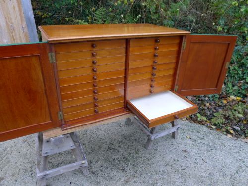A 20 Drawer Mahogany Collectors Cabinet. Ex Museum. Circa 1900