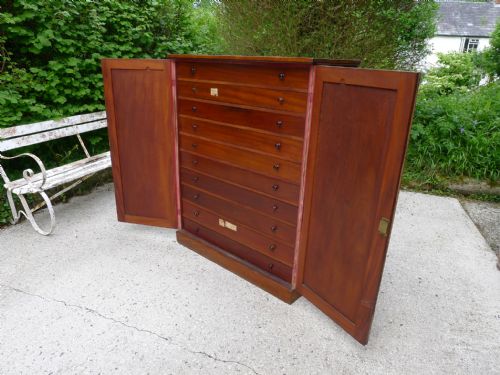 AN HISTORICALLY IMPORTANT COLLECTORS CABINET THE PROPERTY OF WILLIAM JOHN BURCHALL 17811863 CIRCA 1830 - ADDITIONAL PHOTO 3
