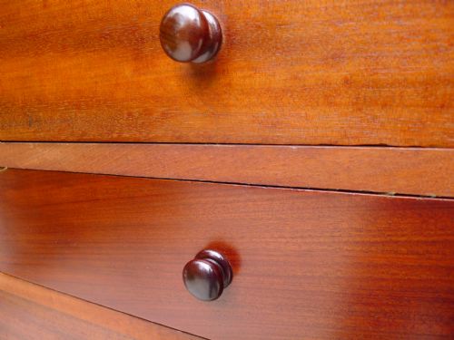 AN HISTORICALLY IMPORTANT COLLECTORS CABINET THE PROPERTY OF WILLIAM JOHN BURCHALL 17811863 CIRCA 1830 - ADDITIONAL PHOTO 4