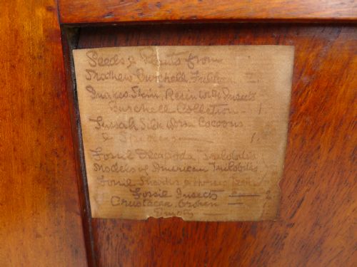 AN HISTORICALLY IMPORTANT COLLECTORS CABINET THE PROPERTY OF WILLIAM JOHN BURCHALL 17811863 CIRCA 1830 - ADDITIONAL PHOTO 9