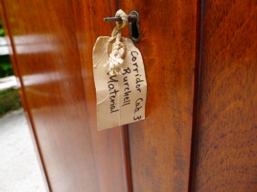 AN HISTORICALLY IMPORTANT COLLECTORS CABINET THE PROPERTY OF WILLIAM JOHN BURCHALL 17811863 CIRCA 1830 - ADDITIONAL PHOTO 10