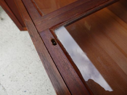 AN HISTORICALLY IMPORTANT COLLECTORS CABINET THE PROPERTY OF WILLIAM JOHN BURCHALL 17811863 CIRCA 1830 - ADDITIONAL PHOTO 14