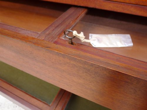 AN HISTORICALLY IMPORTANT COLLECTORS CABINET THE PROPERTY OF WILLIAM JOHN BURCHALL 17811863 CIRCA 1830 - ADDITIONAL PHOTO 16