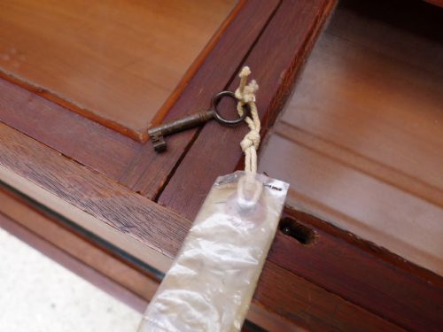 AN HISTORICALLY IMPORTANT COLLECTORS CABINET THE PROPERTY OF WILLIAM JOHN BURCHALL 17811863 CIRCA 1830 - ADDITIONAL PHOTO 17