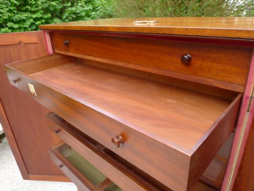 AN HISTORICALLY IMPORTANT COLLECTORS CABINET THE PROPERTY OF WILLIAM JOHN BURCHALL 17811863 CIRCA 1830 - ADDITIONAL PHOTO 18