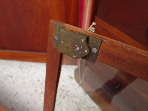 AN HISTORICALLY IMPORTANT COLLECTORS CABINET THE PROPERTY OF WILLIAM JOHN BURCHALL 17811863 CIRCA 1830 - ADDITIONAL PHOTO 21