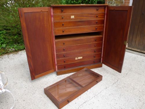 AN HISTORICALLY IMPORTANT COLLECTORS CABINET THE PROPERTY OF WILLIAM JOHN BURCHALL 17811863 CIRCA 1830 - ADDITIONAL PHOTO 23