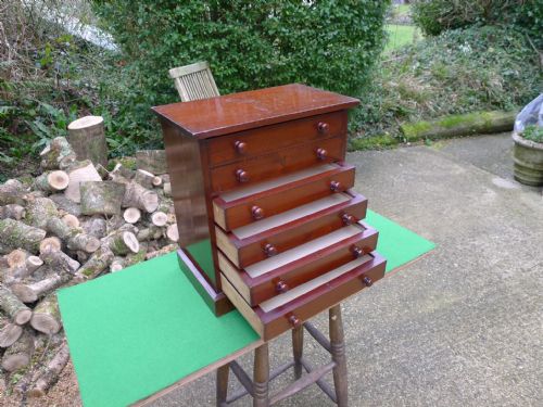 A Good 6 Drawer Deal Collectors Cabinet. Circa 1900