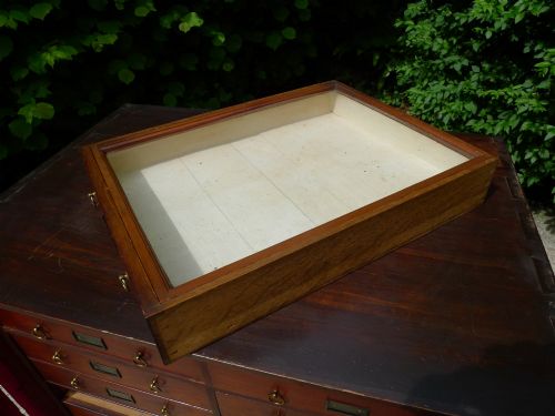 A MID 19TH CENTURY COLLECTORS CABINET IN STAINED AND POLISHED DEAL CIRCA 1860 - ADDITIONAL PHOTO 11