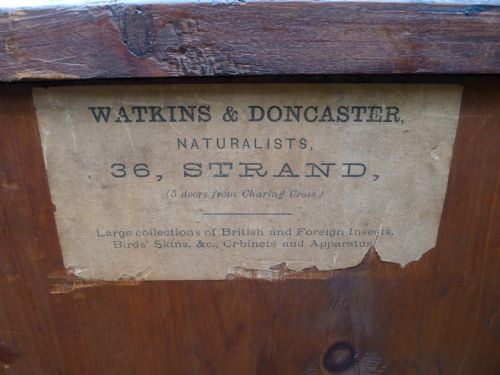 A GOOD 15 DRAWER INSECT COLLECTORS CABINET BY MESSRS WATKINS DONCASTER CIRCA 1890 - ADDITIONAL PHOTO 4
