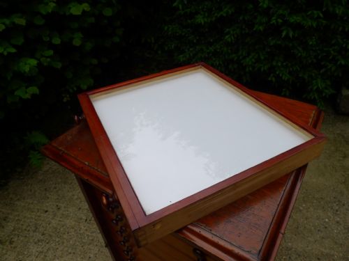 A GOOD 15 DRAWER INSECT COLLECTORS CABINET BY MESSRS WATKINS DONCASTER CIRCA 1890 - ADDITIONAL PHOTO 9