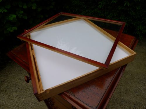 A GOOD 15 DRAWER INSECT COLLECTORS CABINET BY MESSRS WATKINS DONCASTER CIRCA 1890 - ADDITIONAL PHOTO 10
