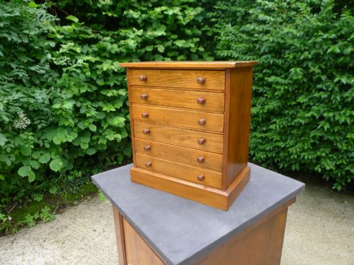 A 6 DRAWER COLLECTORS CABINET IN SATIN WALNUT CIRCA 1900