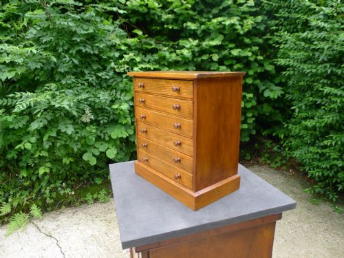 A 6 DRAWER COLLECTORS CABINET IN SATIN WALNUT CIRCA 1900 - ADDITIONAL PHOTO 1