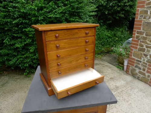 A 6 DRAWER COLLECTORS CABINET IN SATIN WALNUT CIRCA 1900 - ADDITIONAL PHOTO 4