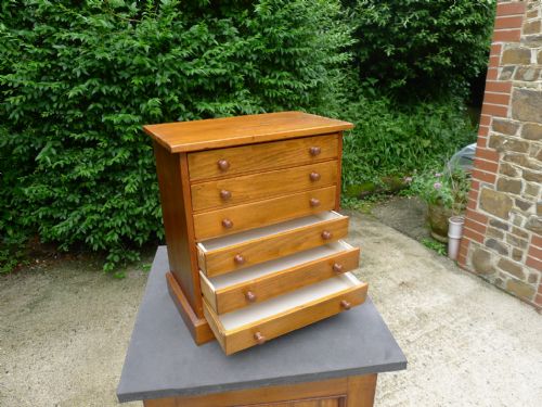 A 6 DRAWER COLLECTORS CABINET IN SATIN WALNUT CIRCA 1900 - ADDITIONAL PHOTO 5