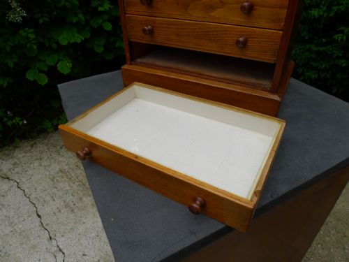 A 6 DRAWER COLLECTORS CABINET IN SATIN WALNUT CIRCA 1900 - ADDITIONAL PHOTO 7