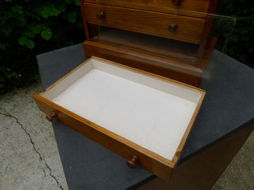 A 6 DRAWER COLLECTORS CABINET IN SATIN WALNUT CIRCA 1900 - ADDITIONAL PHOTO 8