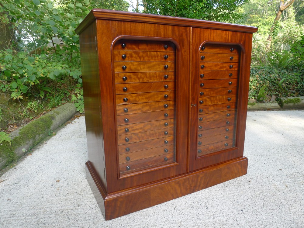 A SUPERB 30 DRAWER COLLECTORS CABINET BY THOMAS GURNEY CIRCA. 1880.