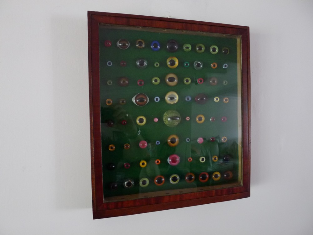 AN ANTIQUE WALL CASE CONTAINING A DISPLAY OF 72 VICTORIAN TAXIDERMY GLASS EYES