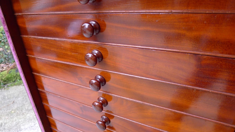 A FINE, SOLID MAHOGANY JANSEN 20 DRAWER COLLECTORS CABINET. CIRCA 1890 View VII