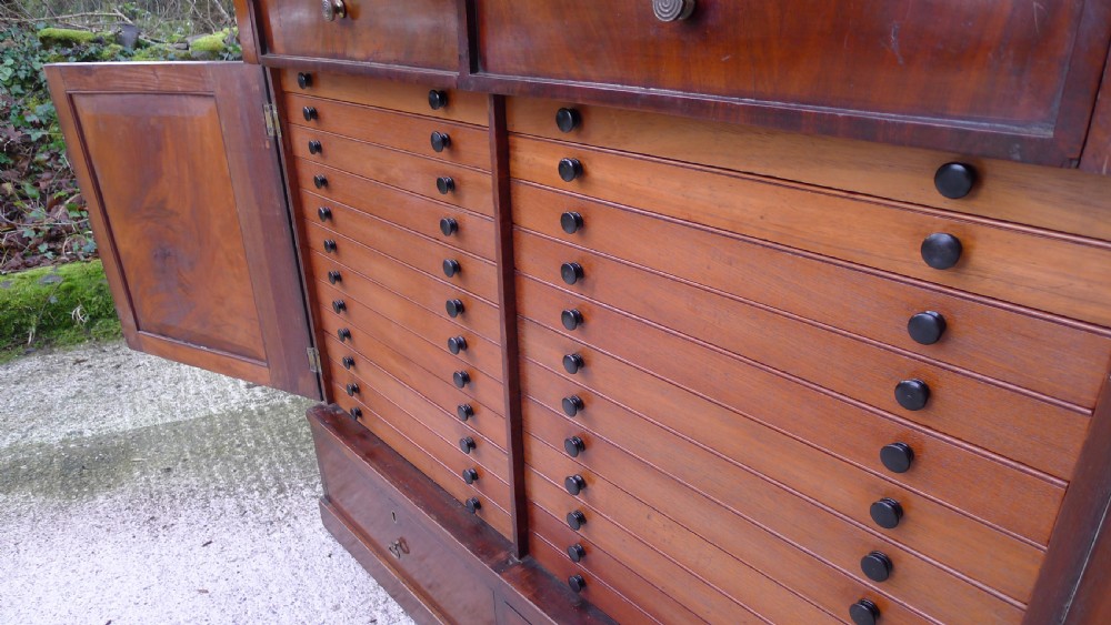 A FINE 28 DRAWER COLLECTORS CABINET CIRCA 1850 IN HONDURAS MAHOGANY View VIII