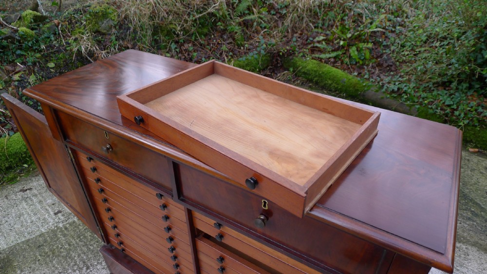 A FINE 28 DRAWER COLLECTORS CABINET CIRCA 1850 IN HONDURAS MAHOGANY View XII