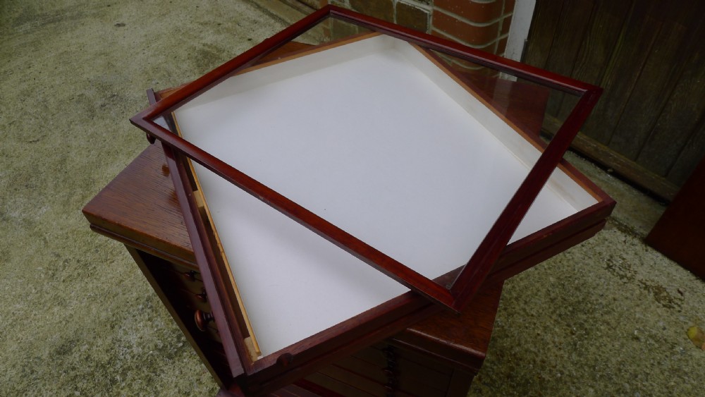 A GOOD MAHOGANY TEN DRAWER HILLS COLLECTORS CABINET. View IX