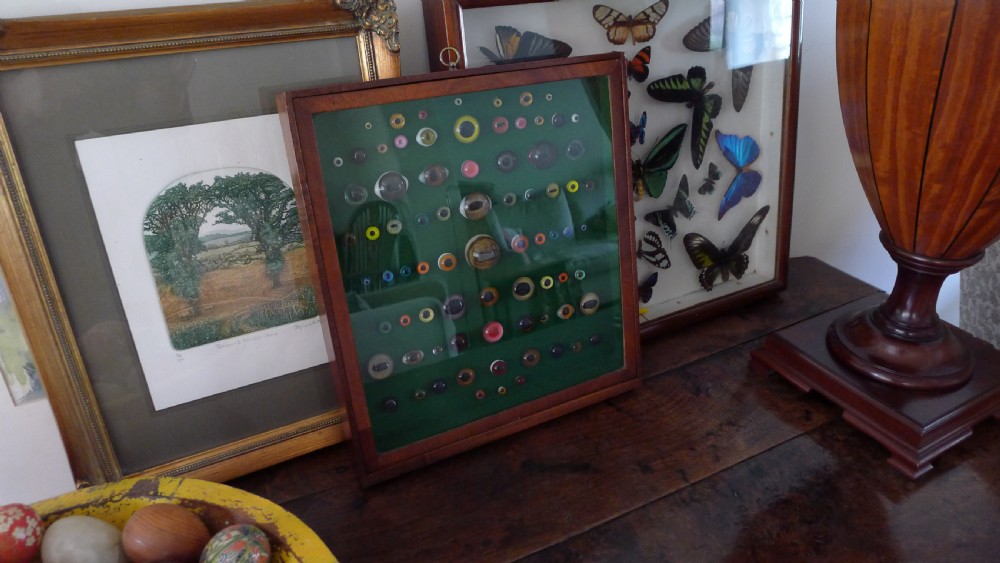 AN ANTIQUE WALL CASE CONTAINING A DISPLAY OF 77 VICTORIAN TAXIDERMY GLASS EYES. View II