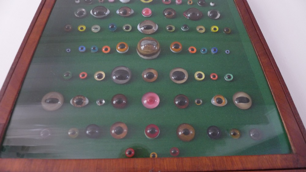 AN ANTIQUE WALL CASE CONTAINING A DISPLAY OF 77 VICTORIAN TAXIDERMY GLASS EYES. View VI