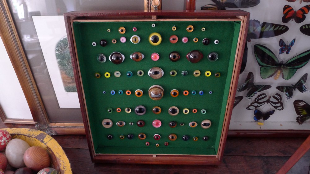 AN ANTIQUE WALL CASE CONTAINING A DISPLAY OF 77 VICTORIAN TAXIDERMY GLASS EYES. View VIII