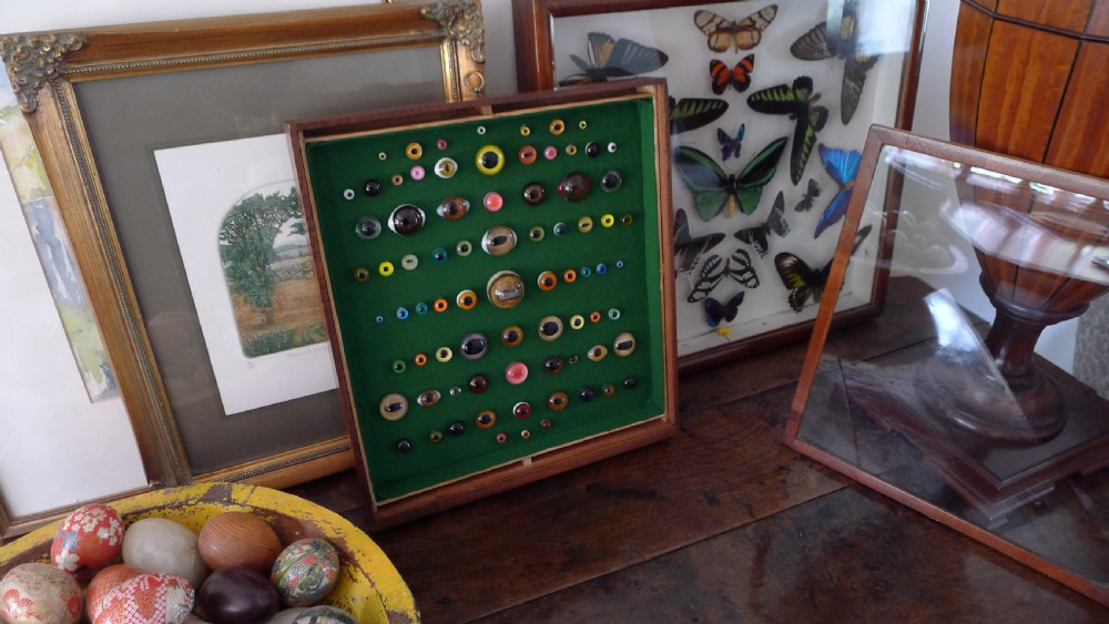 AN ANTIQUE WALL CASE CONTAINING A DISPLAY OF 77 VICTORIAN TAXIDERMY GLASS EYES. View IX