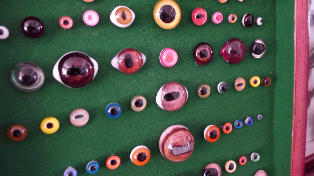 AN ANTIQUE WALL CASE CONTAINING A DISPLAY OF 77 VICTORIAN TAXIDERMY GLASS EYES. View X