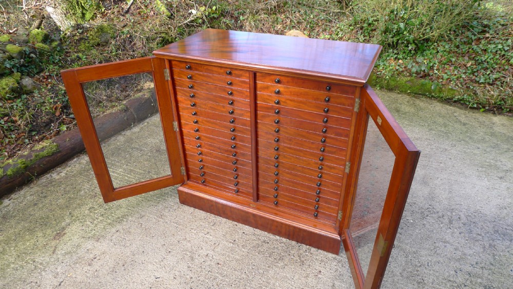 A VERY FINE 30 DRAWER BUTTERFLY COLLECTORS CABINET BY THOMAS GURNEY. CIRCA 1880 View IV