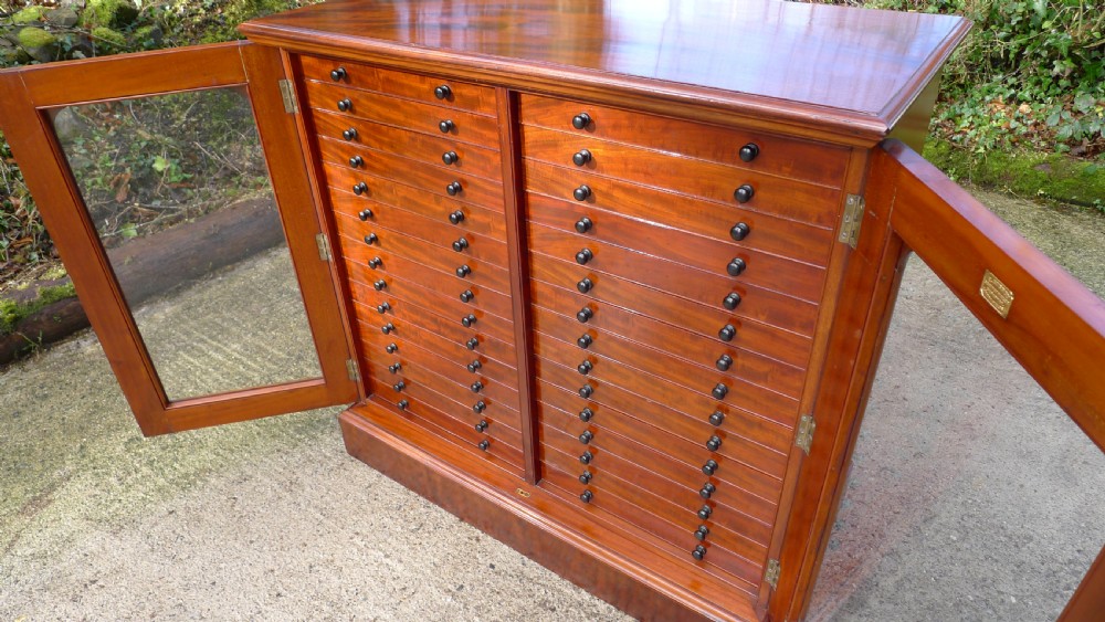A VERY FINE 30 DRAWER BUTTERFLY COLLECTORS CABINET BY THOMAS GURNEY. CIRCA 1880 View V