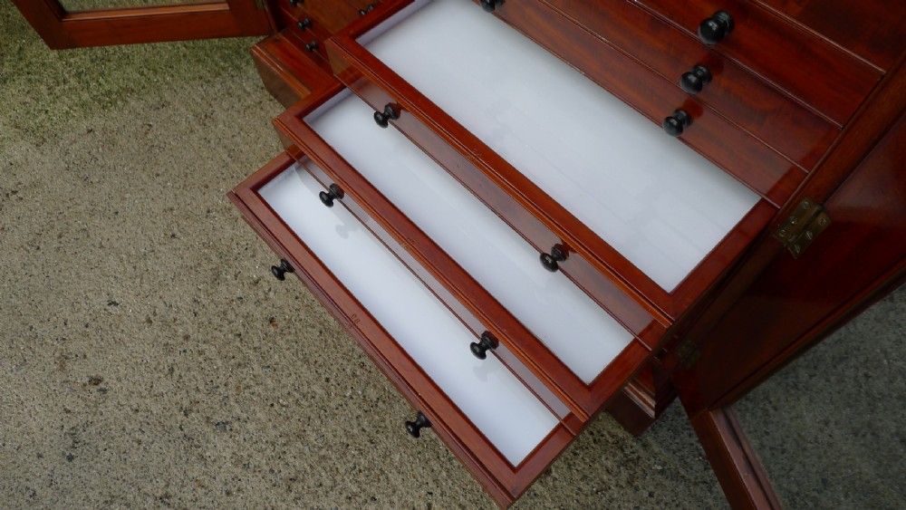 A VERY FINE 30 DRAWER BUTTERFLY COLLECTORS CABINET BY THOMAS GURNEY. CIRCA 1880 View VI
