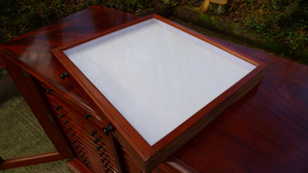 A VERY FINE 30 DRAWER BUTTERFLY COLLECTORS CABINET BY THOMAS GURNEY. CIRCA 1880 View VII
