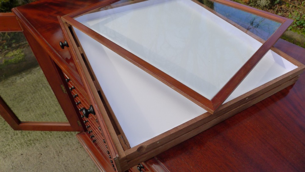 A VERY FINE 30 DRAWER BUTTERFLY COLLECTORS CABINET BY THOMAS GURNEY. CIRCA 1880 View VIII